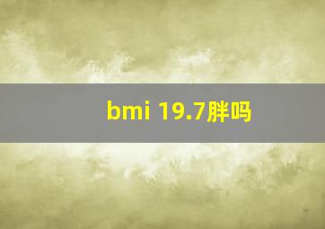 bmi 19.7胖吗